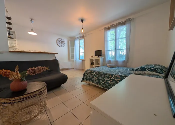 Petit Cocon Val D'europe - Апартаменты